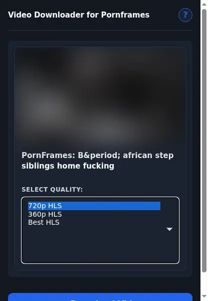 PornFrames Video Downloader format dropdown options