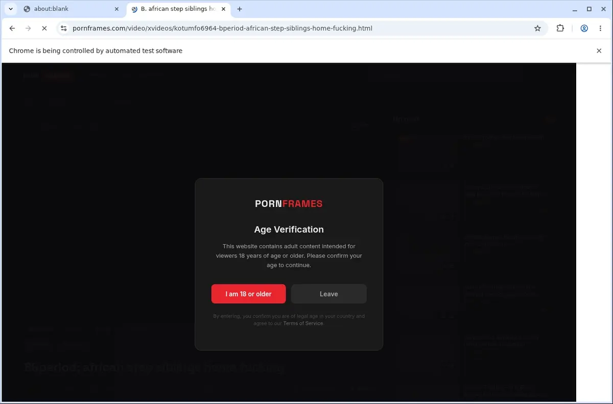 PornFrames Video Downloader page open in the browser
