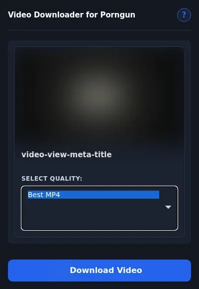 PornGun Downloader format dropdown options
