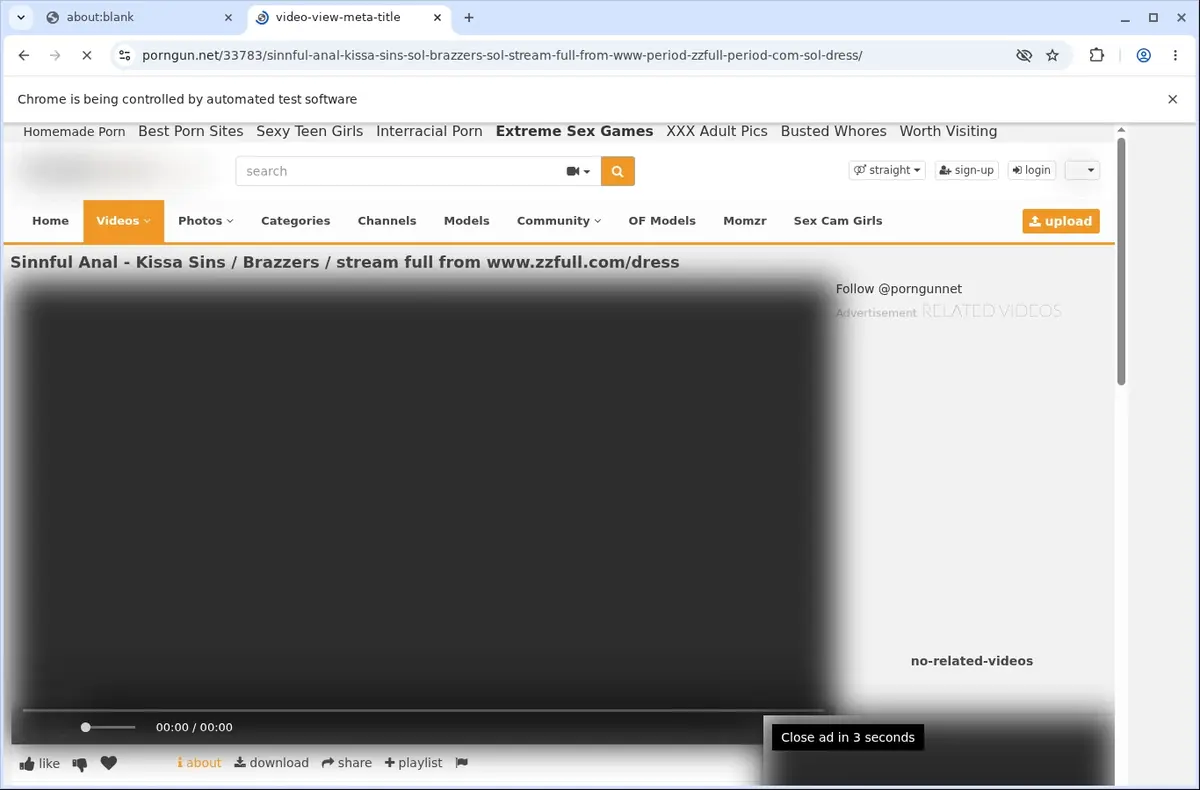 PornGun Downloader page open in the browser
