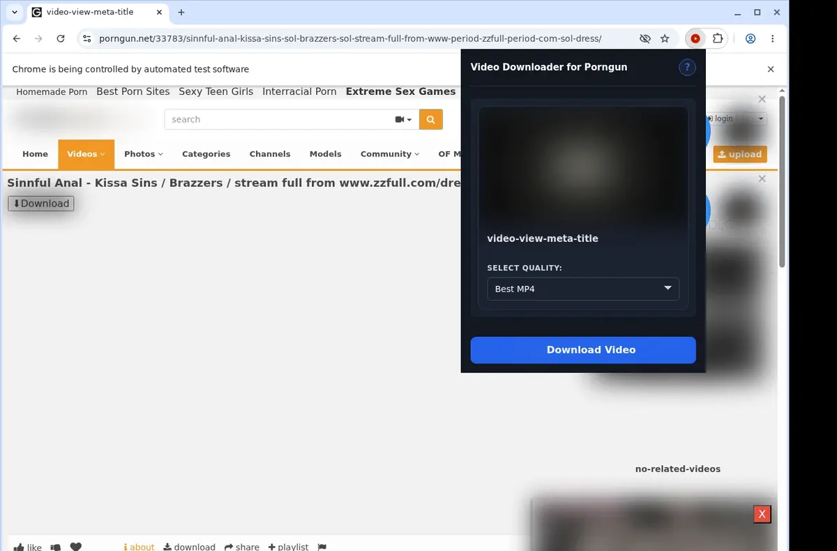 PornGun Downloader showing detected media ready to download