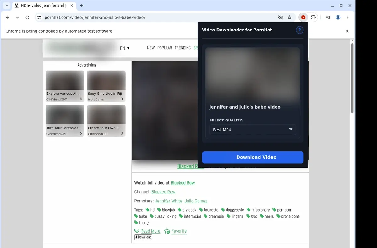 PornHat Downloader showing detected media ready to download