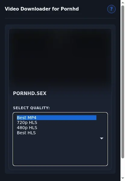 PornHD Downloader format dropdown options