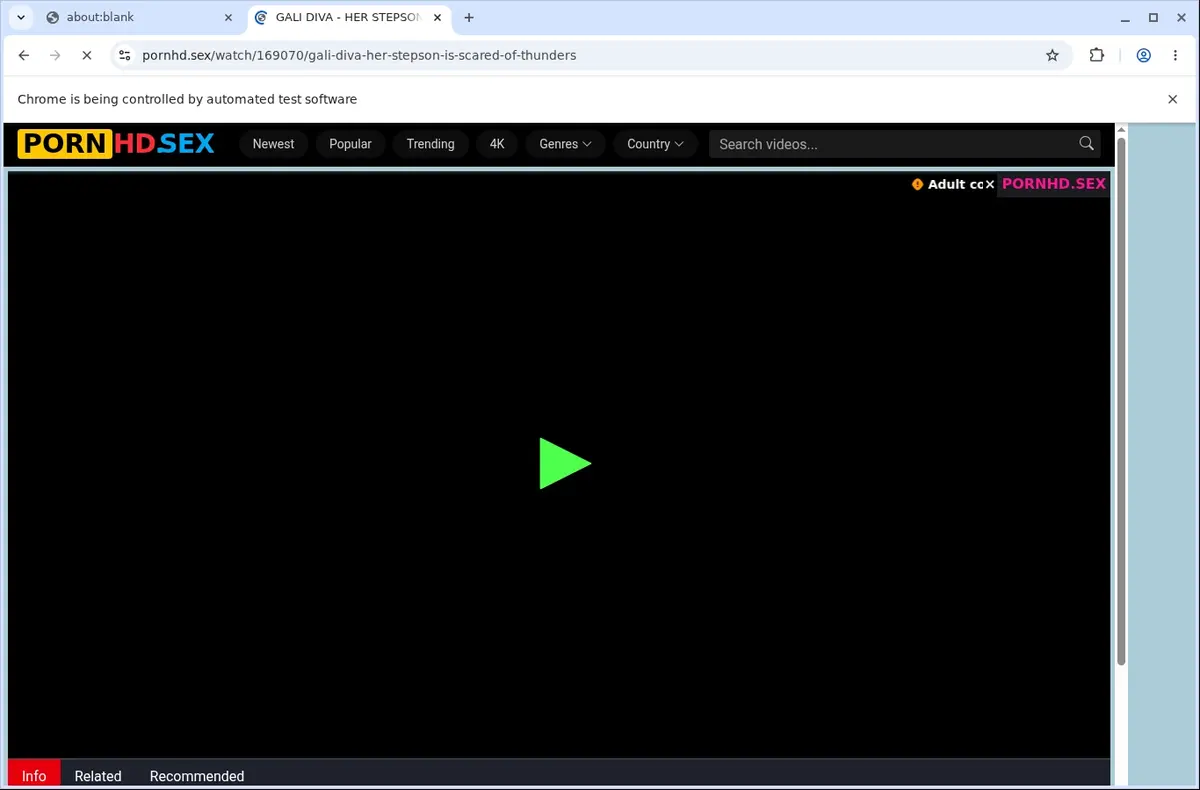 PornHD Downloader page open in the browser