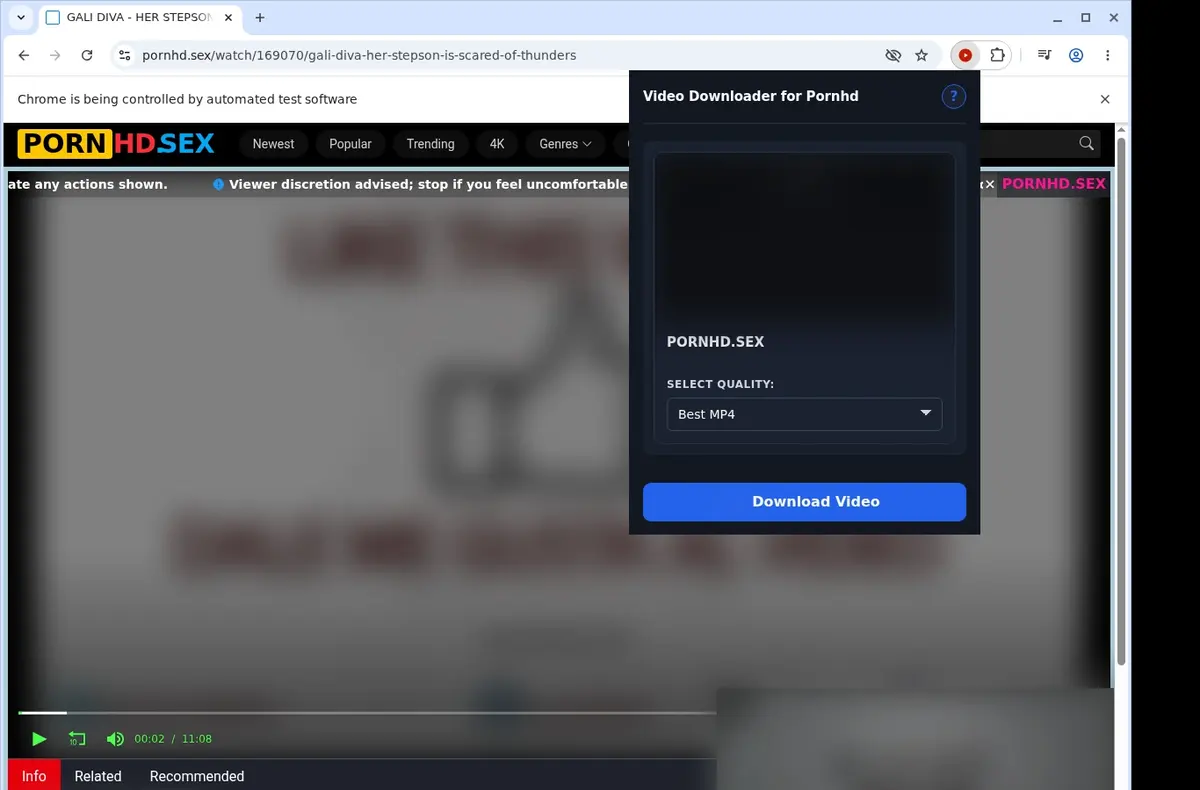 PornHD Downloader showing detected media ready to download