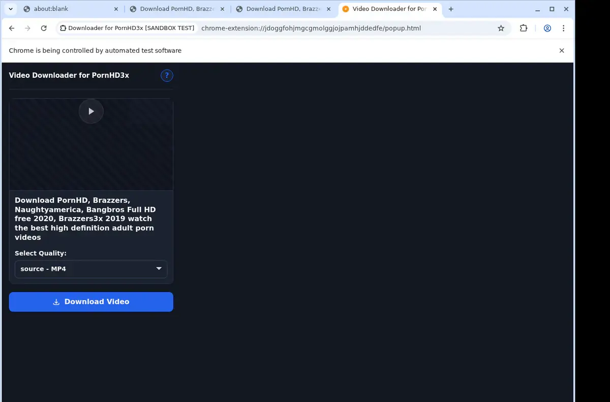 PornHD3x Downloader format selection and save step