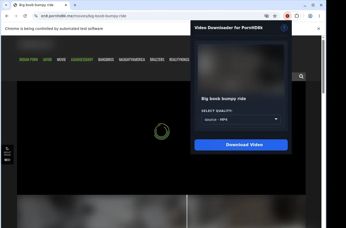PornHD8k Downloader showing detected media ready to download