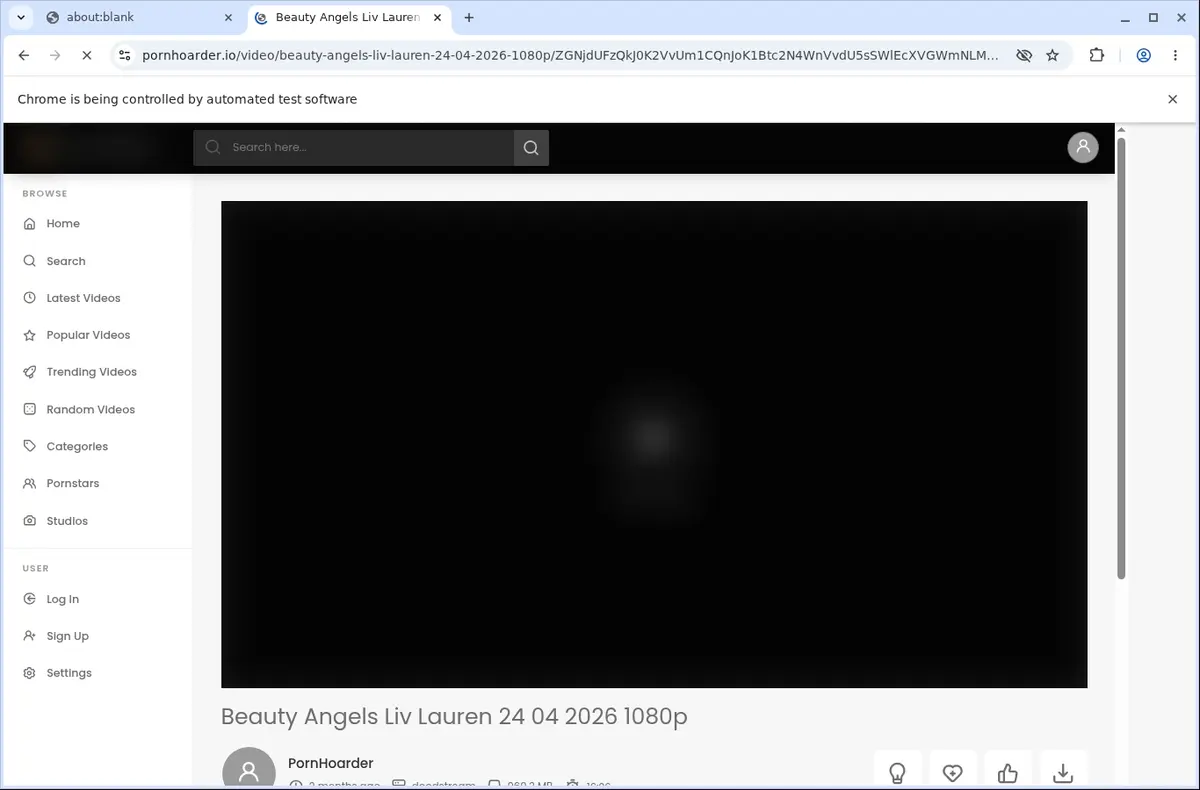 PornHoarder Video Downloader page open in the browser