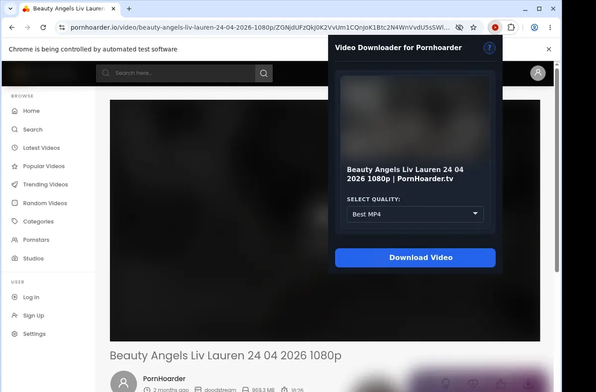 PornHoarder Video Downloader showing detected media ready to download