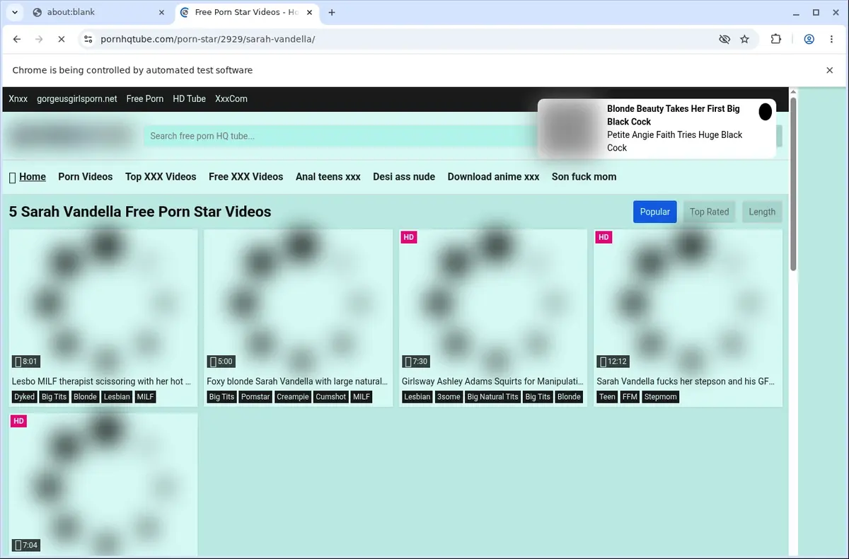 PornHQTube Downloader page open in the browser
