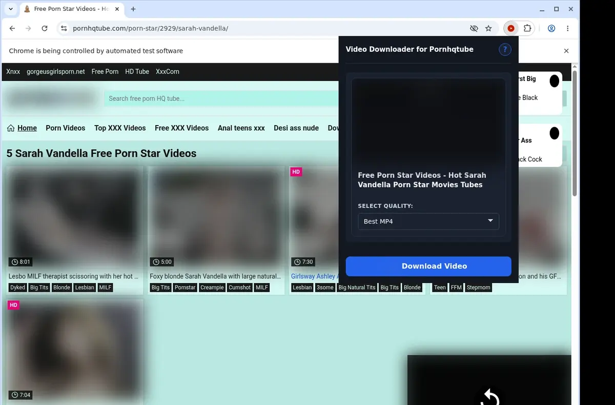 PornHQTube Downloader showing detected media ready to download