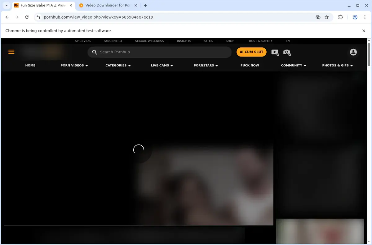 Pornhub Video Downloader page open in the browser