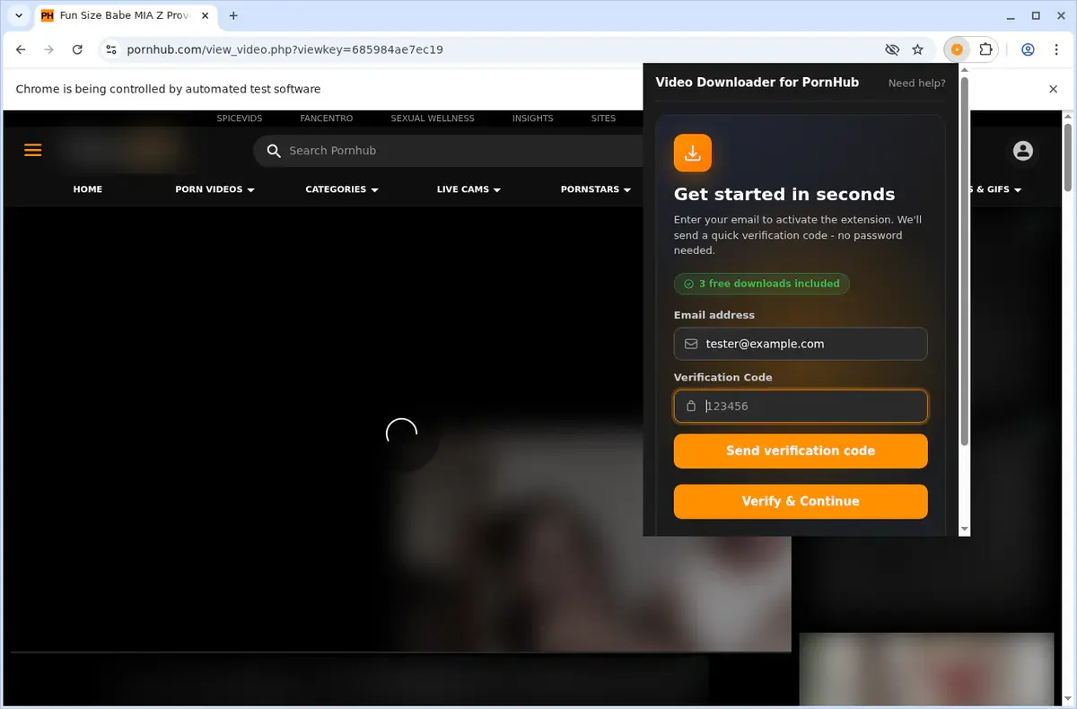 Pornhub Video Downloader format selection and save step