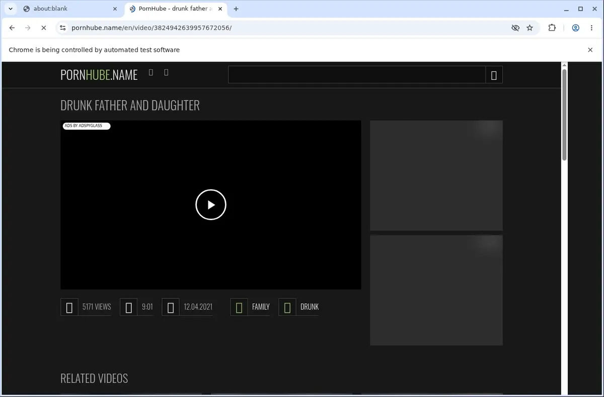 Pornhube Video Downloader page open in the browser