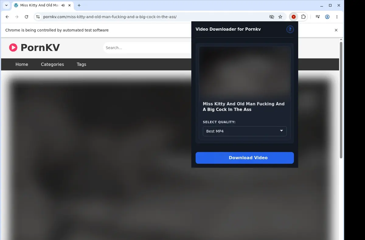 PornKV Video Downloader showing detected media ready to download