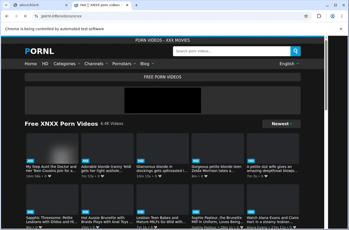 Pornl Video Downloader page open in the browser
