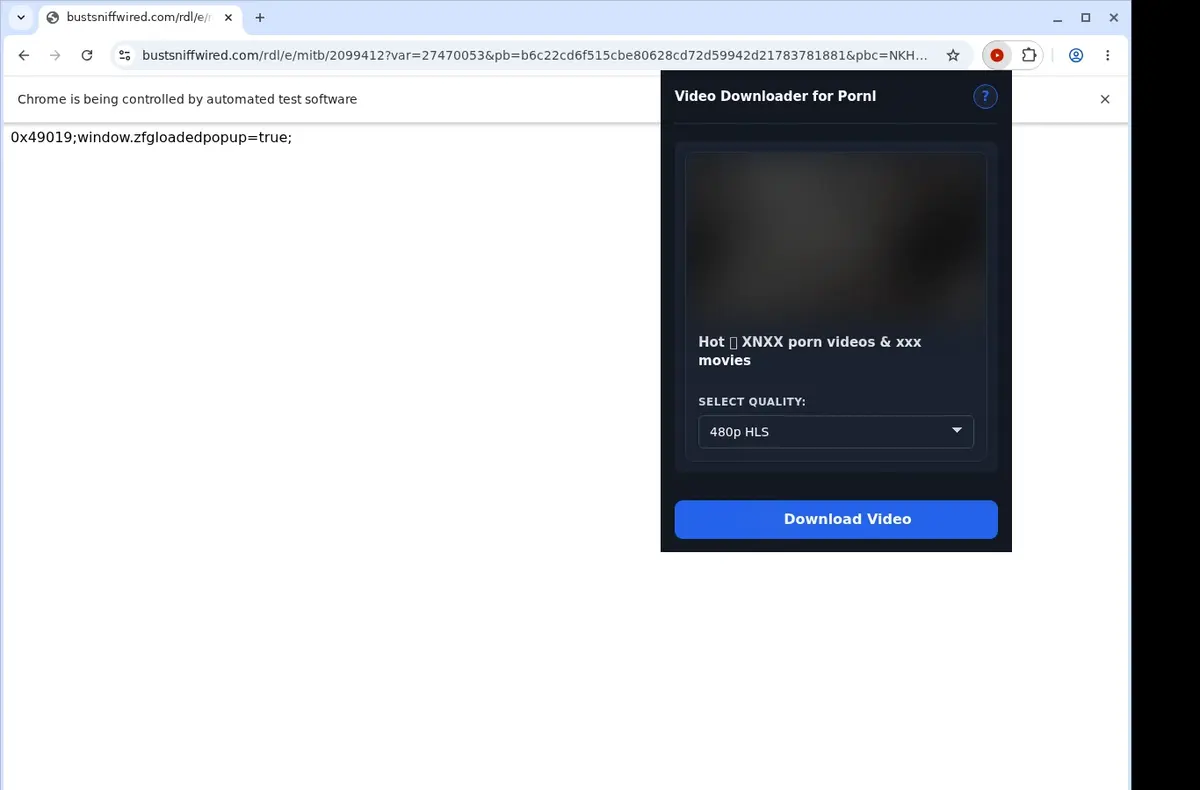 Pornl Video Downloader showing detected media ready to download