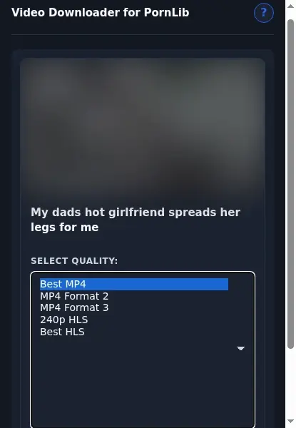 PornLib Downloader format dropdown options