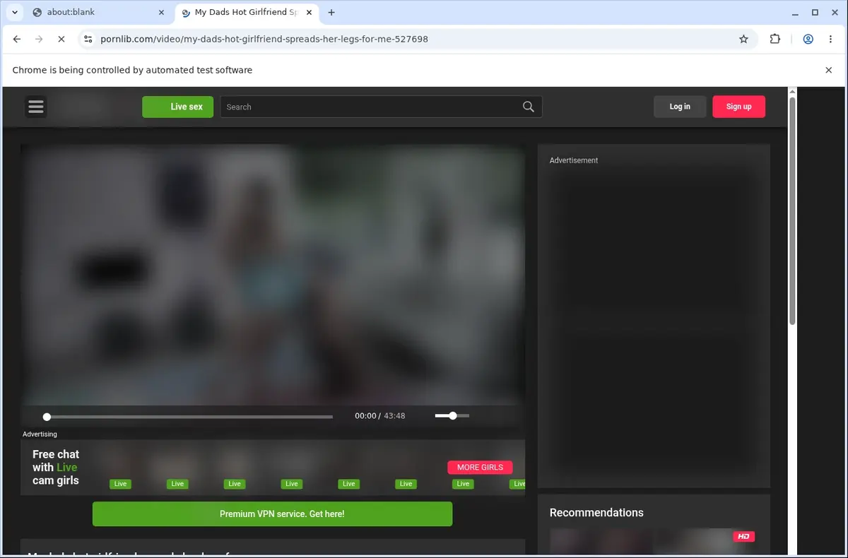 PornLib Downloader page open in the browser