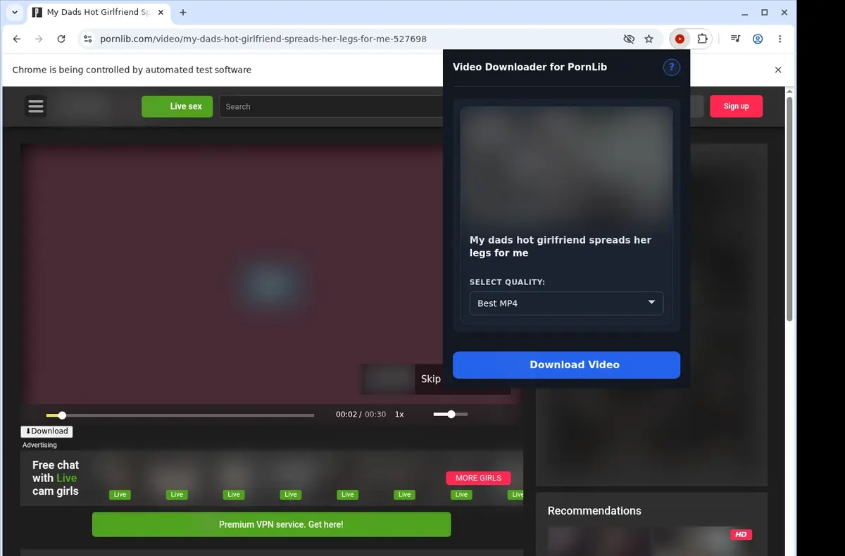 PornLib Downloader showing detected media ready to download