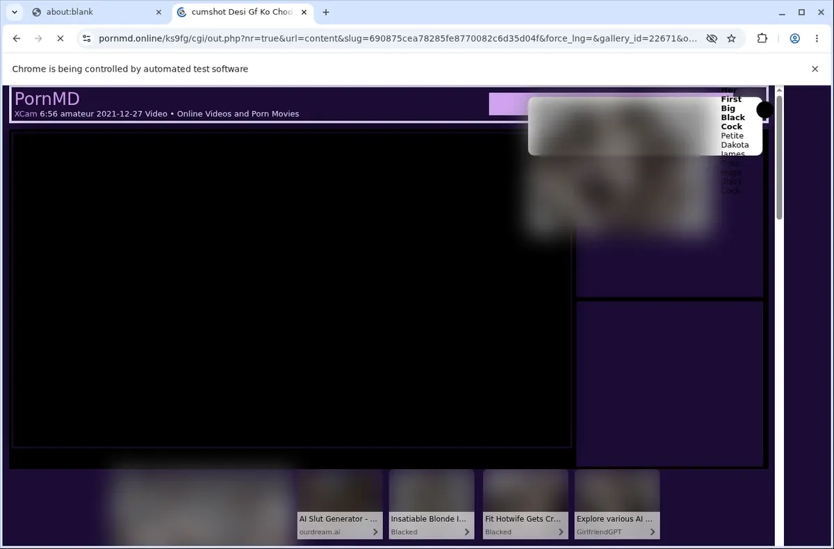 PornMD Downloader page open in the browser