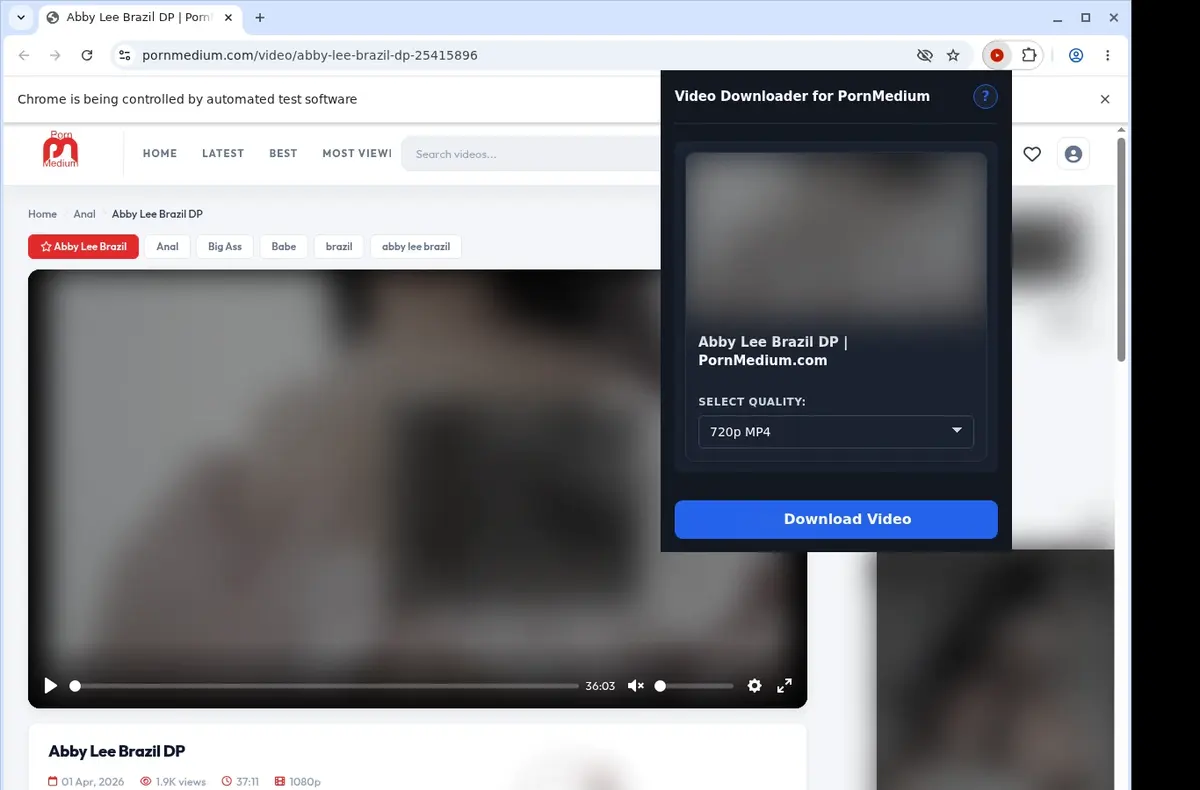 PornMedium Downloader showing detected media ready to download