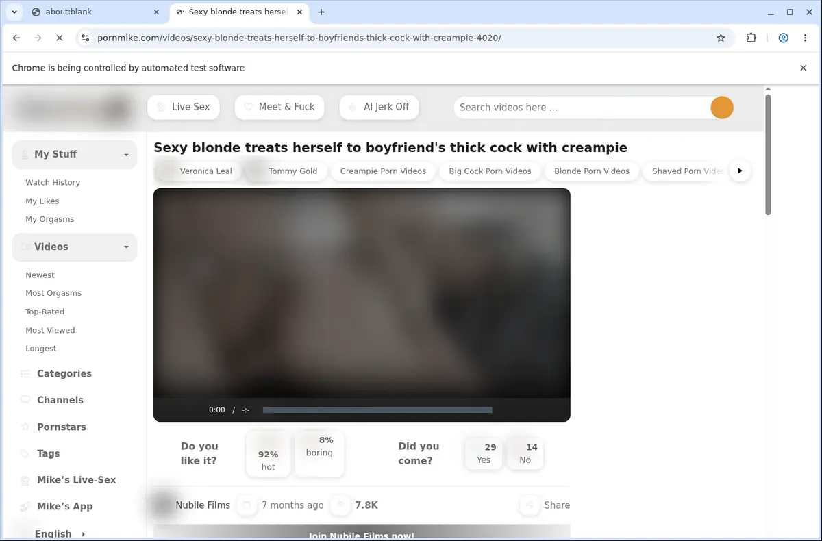 PornMike Downloader page open in the browser