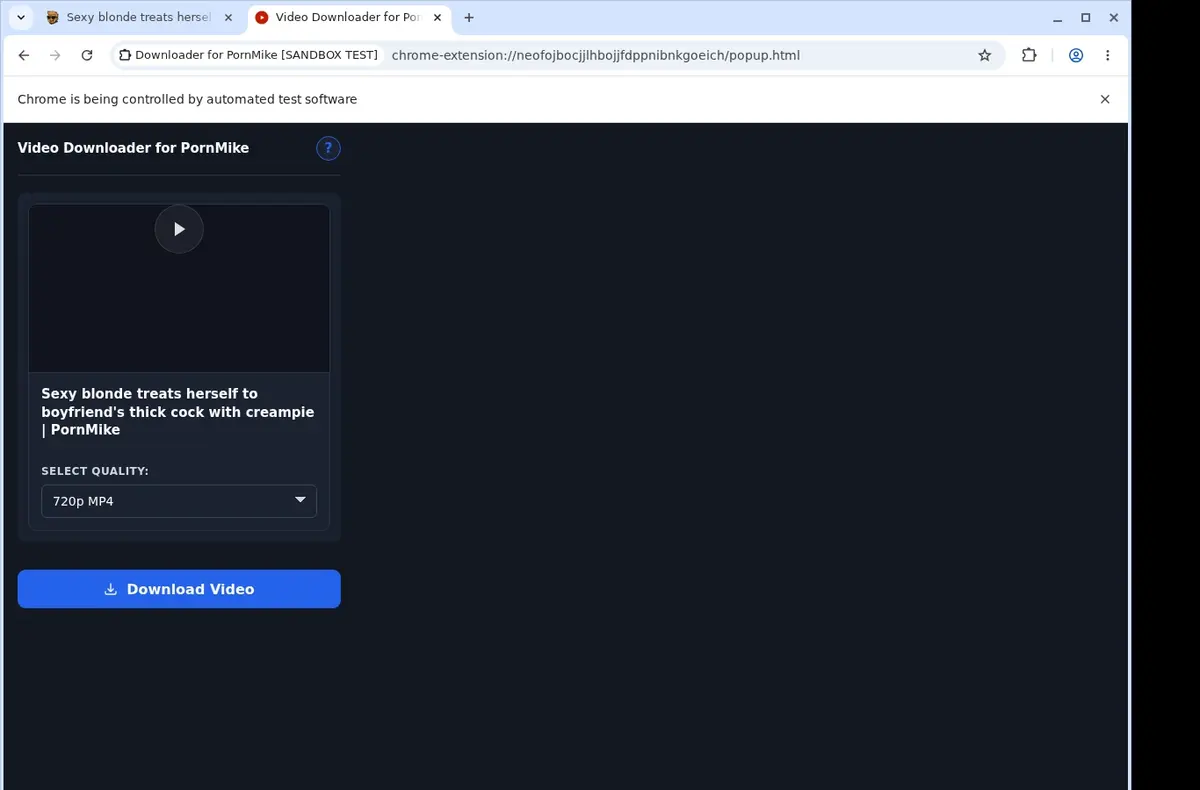 PornMike Downloader showing detected media ready to download