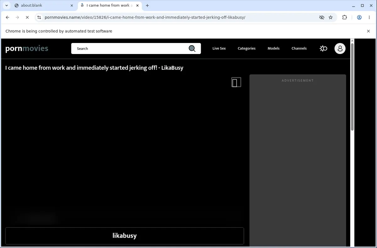 PornMovies Video Downloader page open in the browser