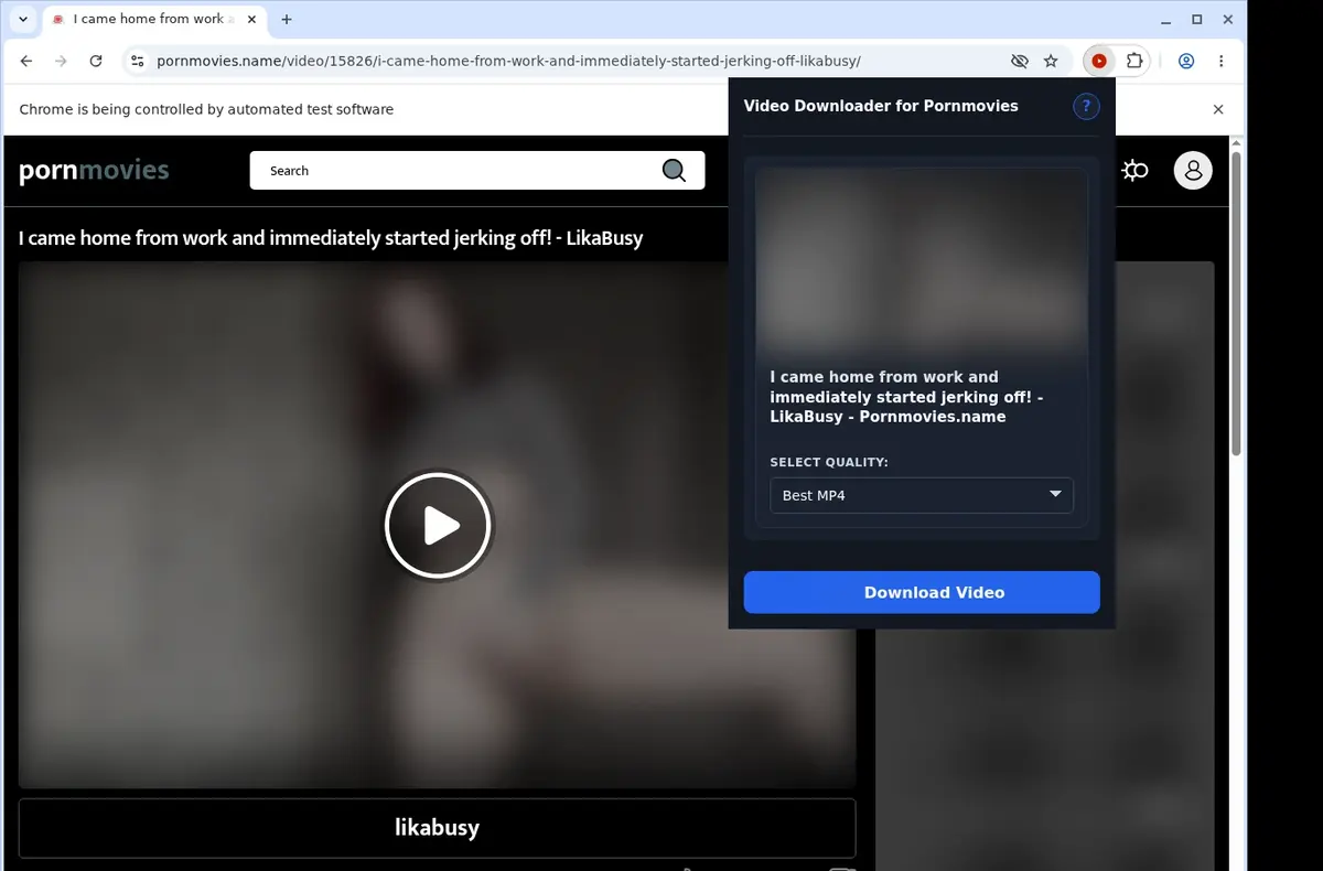 PornMovies Video Downloader showing detected media ready to download