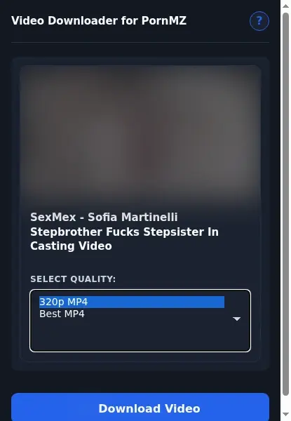 PornMZ Downloader format dropdown options