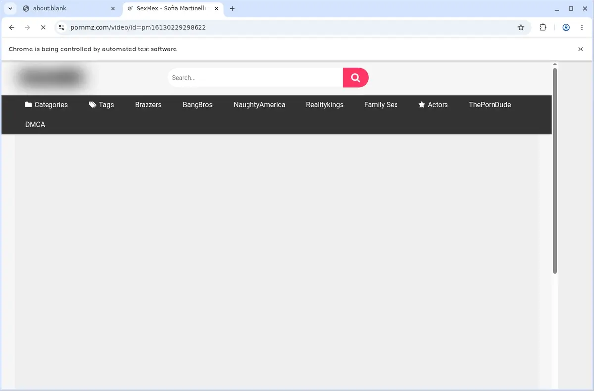 PornMZ Downloader page open in the browser