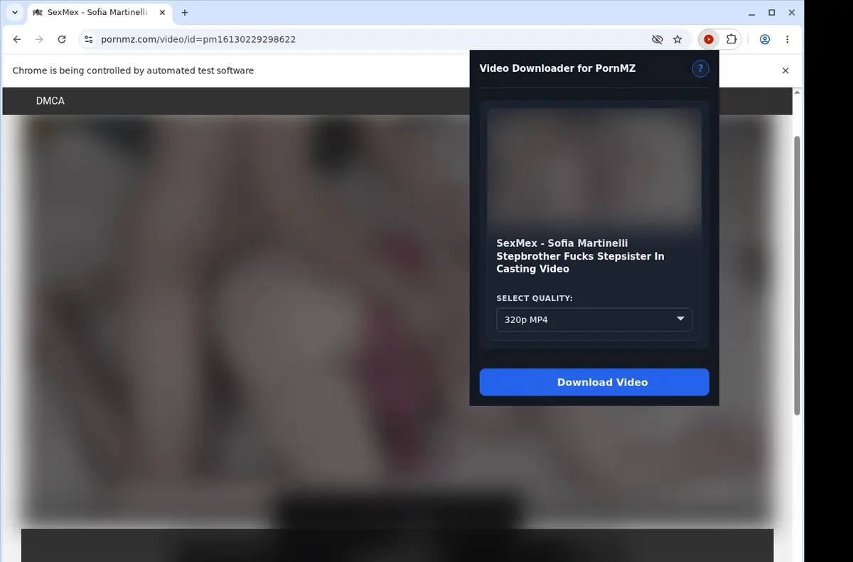 PornMZ Downloader showing detected media ready to download