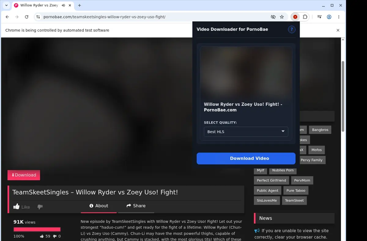 PornoBae Downloader showing detected media ready to download