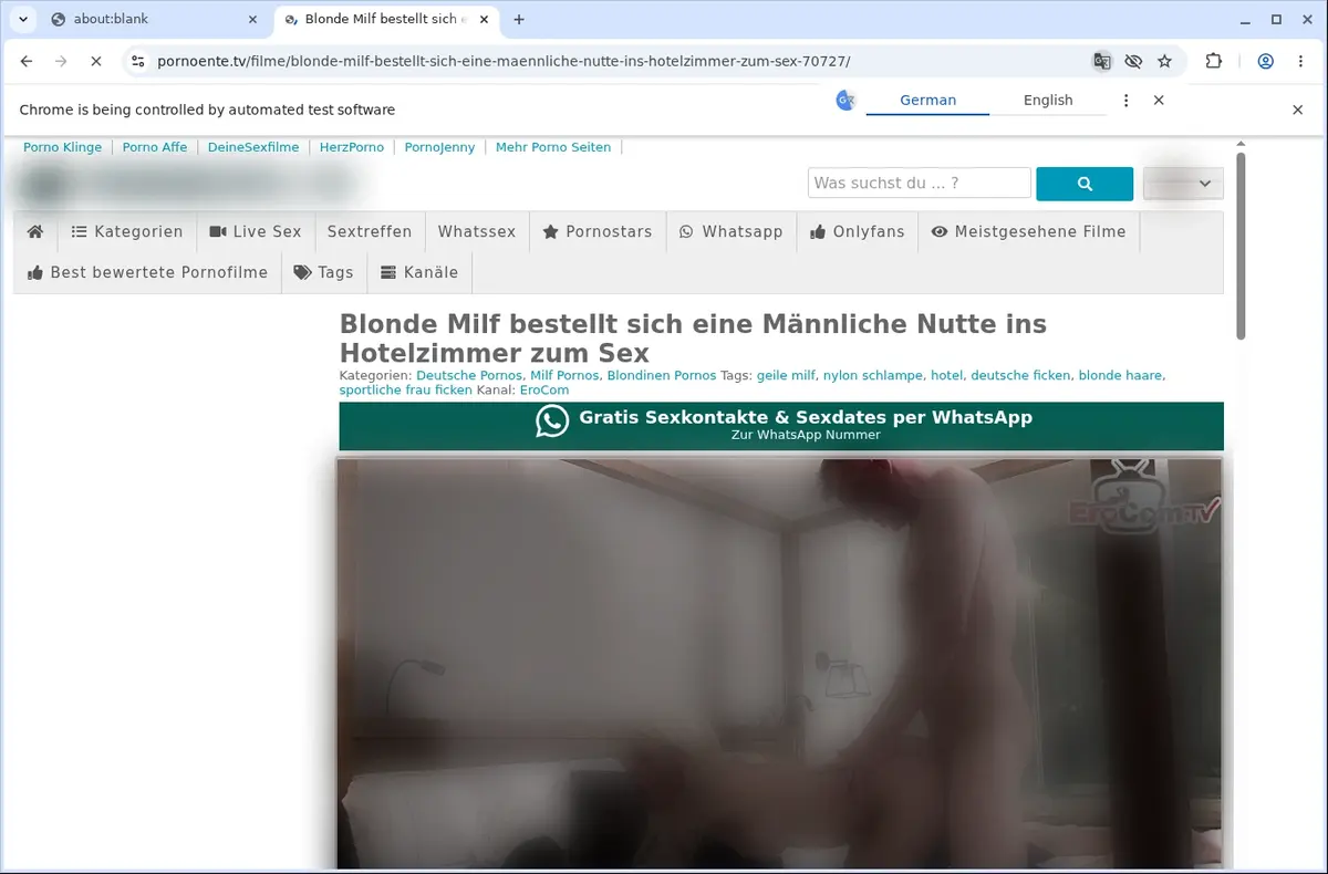 PornoEnte Video Downloader page open in the browser