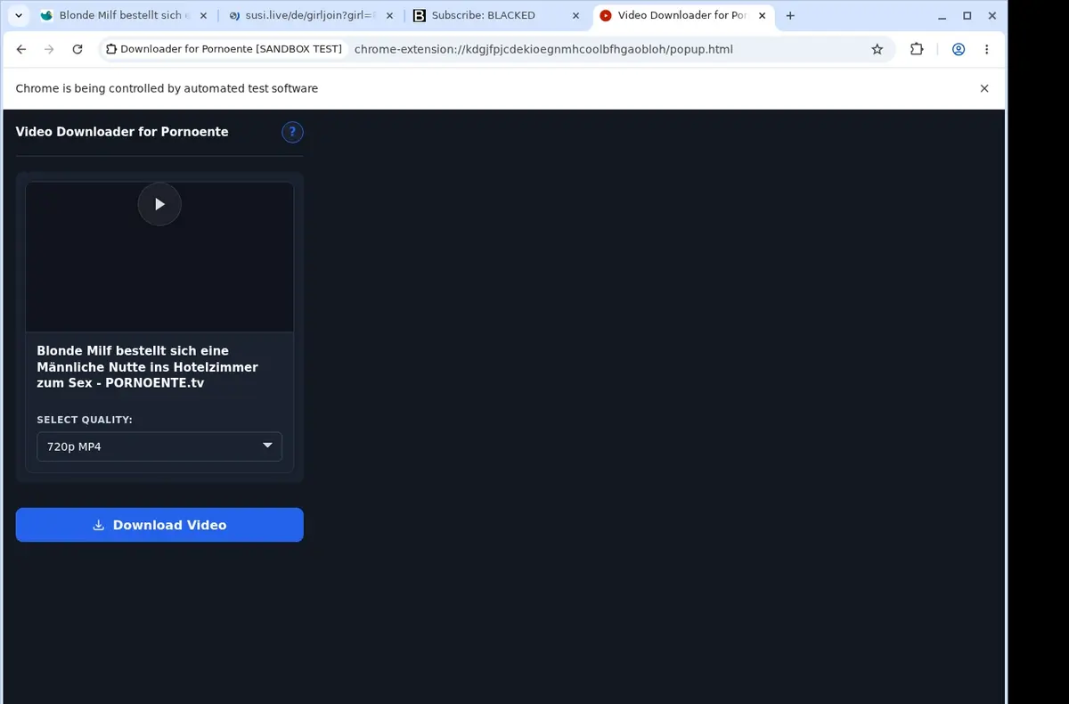 PornoEnte Video Downloader showing detected media ready to download