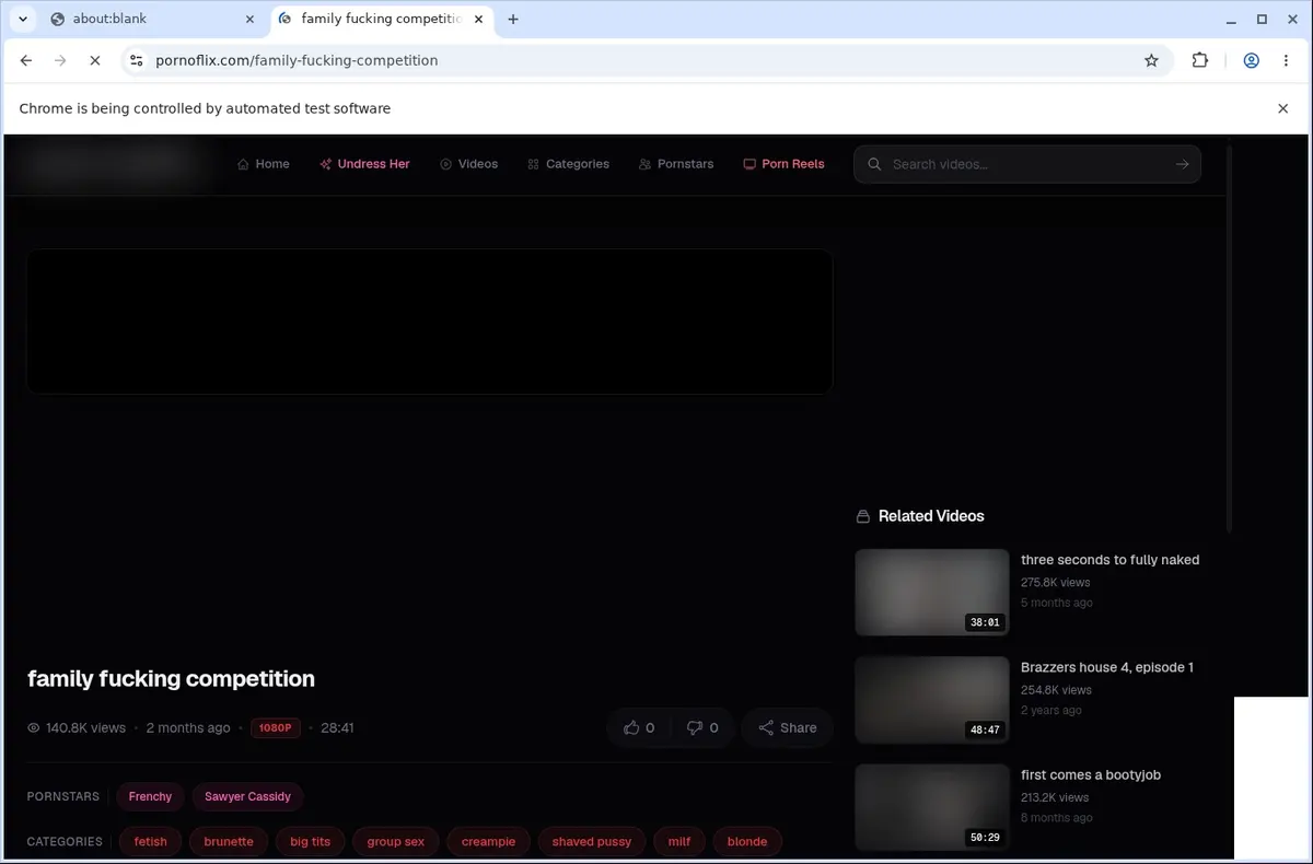 PornoFlix Downloader page open in the browser