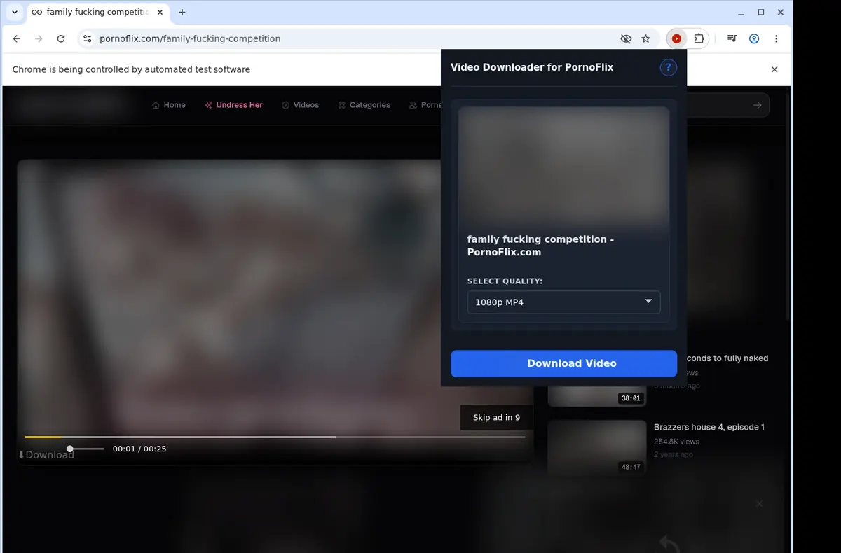 PornoFlix Downloader showing detected media ready to download