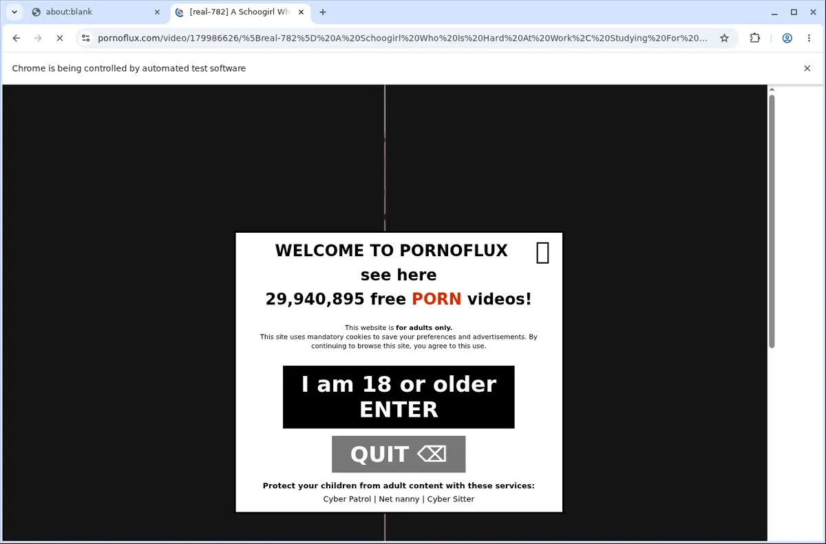 PornoFlux Video Downloader page open in the browser