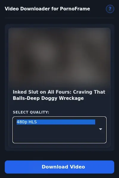 PornoFrame Downloader format dropdown options