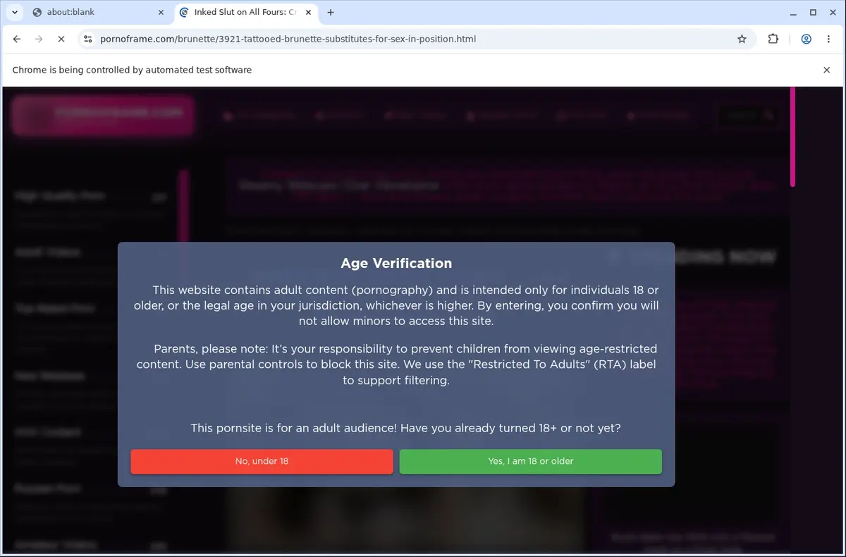PornoFrame Downloader page open in the browser