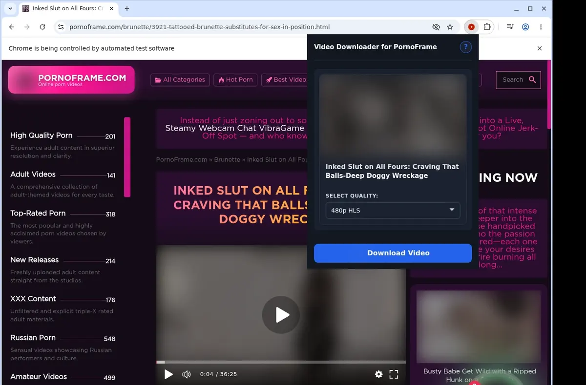 PornoFrame Downloader showing detected media ready to download