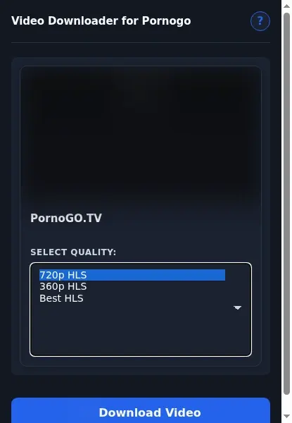 PornoGo Video Downloader format dropdown options