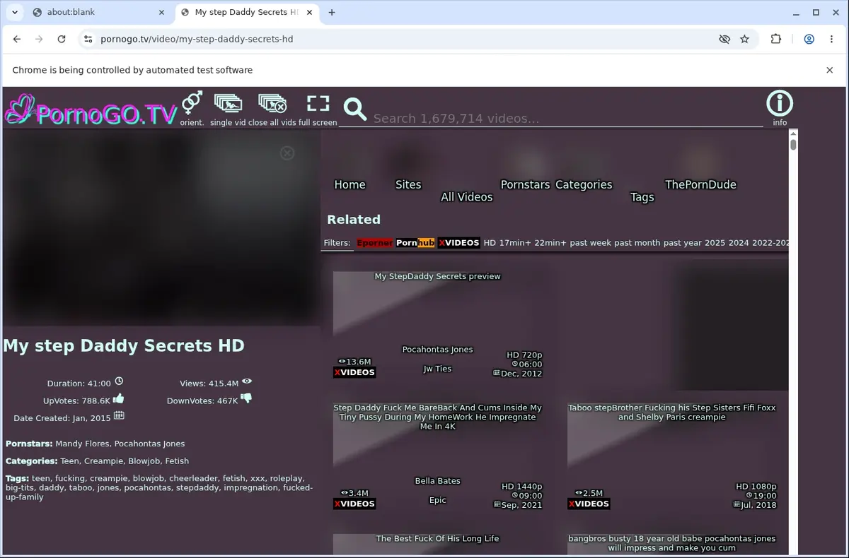 PornoGo Video Downloader page open in the browser