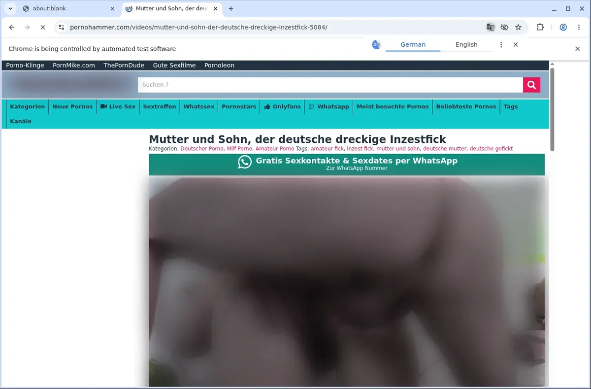 PornoHammer Video Downloader page open in the browser