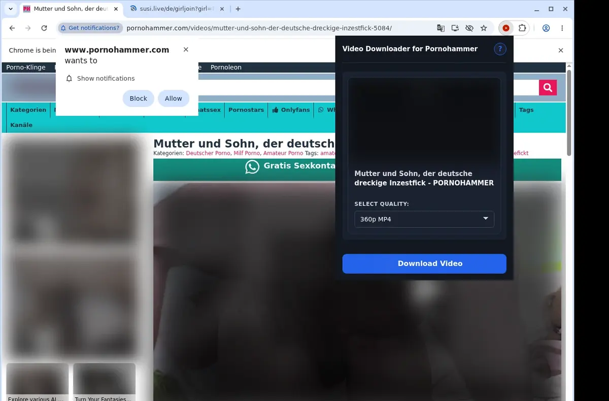 PornoHammer Video Downloader showing detected media ready to download
