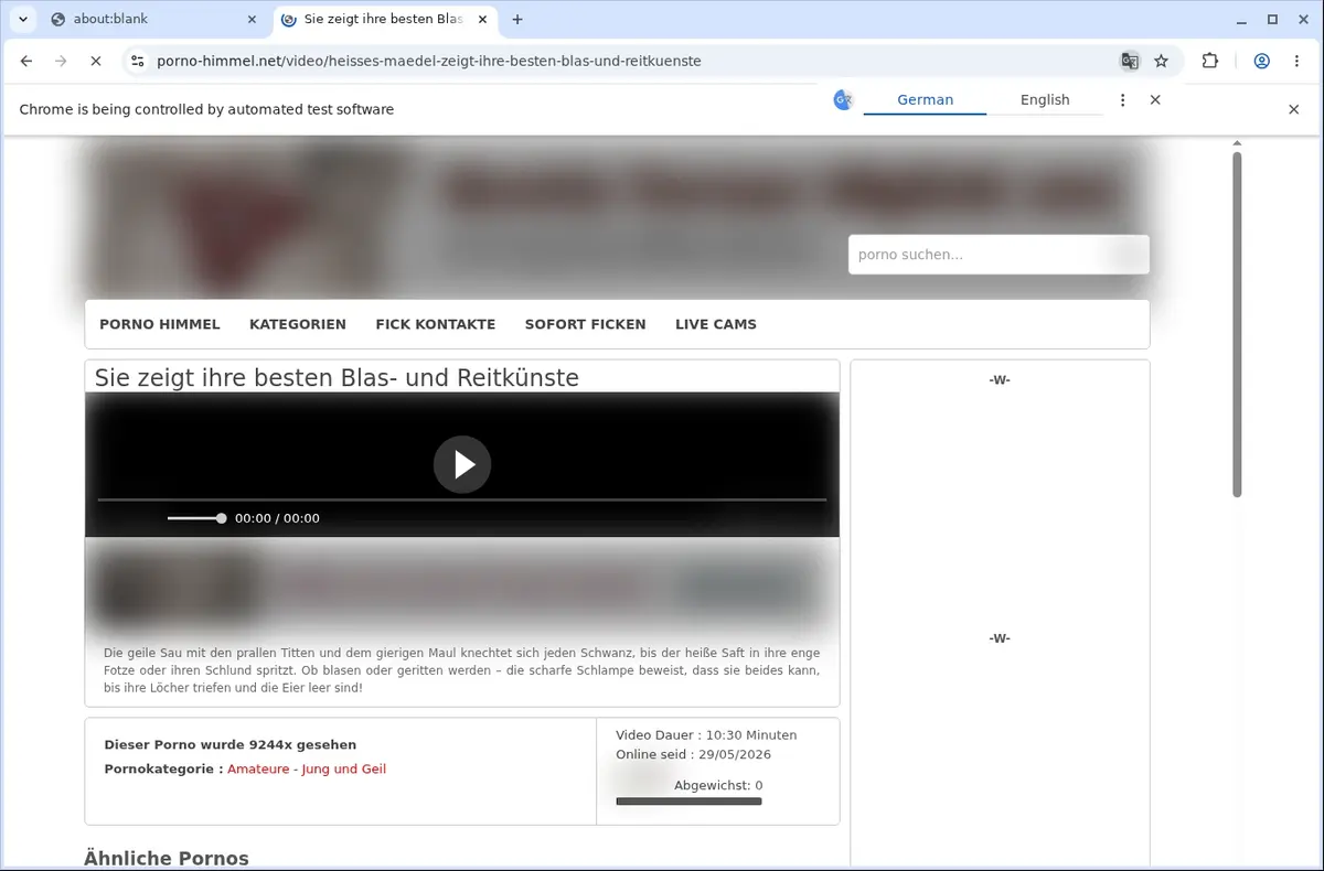 PornoHimmel Video Downloader page open in the browser