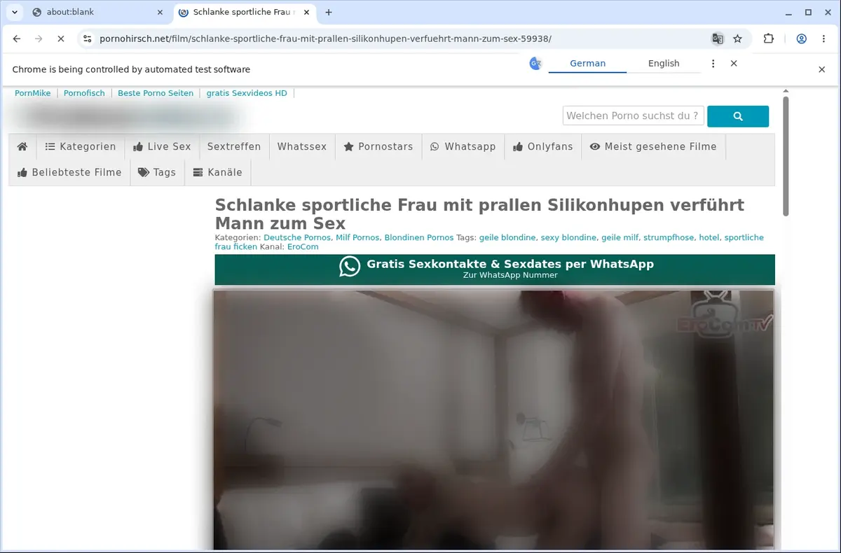 PornoHirsch Video Downloader page open in the browser