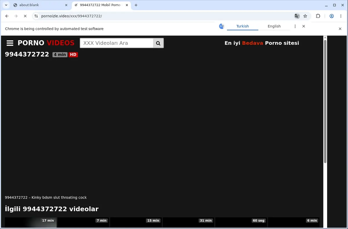 PornoIzle Video Downloader page open in the browser