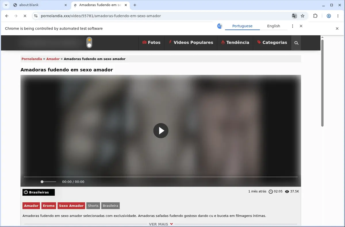 PornoLandia Video Downloader page open in the browser